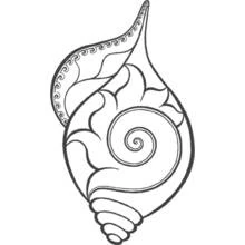 Coloriage Coquillage à motif en spirale