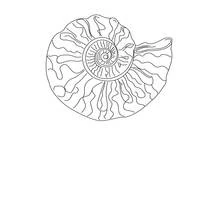 Coloriage Coquillage en spirale à motifs ondulés