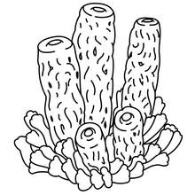 Coloriage Formation de corail en tubes
