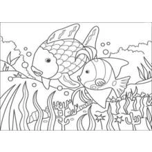 Coloriage Deux poissons nageant au-dessus du corail