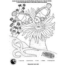 Coloriage Récif de corail avec poissons-clowns et anémone