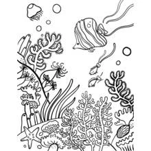 Coloriage Corail avec poissons et méduse