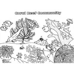 Coloriage Communauté de corail avec dauphin et tortue