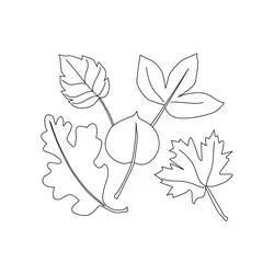 Coloriage Feuille #191829 à imprimer et colorier