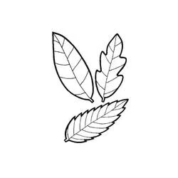 Coloriage Feuille #191830 à imprimer et colorier