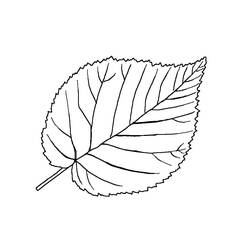 Coloriage Feuille #191834 à imprimer et colorier