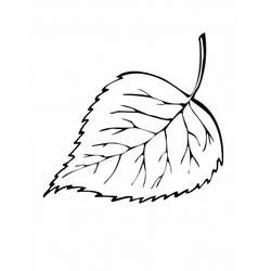 Coloriage Feuille #191840 à imprimer et colorier