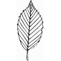 Coloriage Feuille #191844 à imprimer et colorier