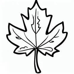 Coloriage Feuille d'érable aux nervures simples