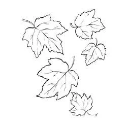 Coloriage Feuille d’érable tombant en automne