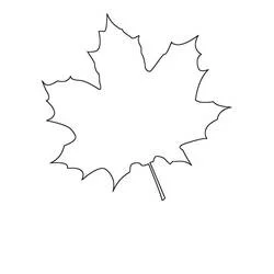 Coloriage Feuille d'érable simple