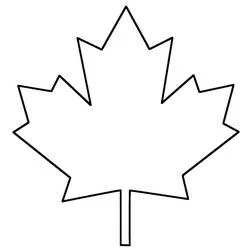 Coloriage Feuille d'Érable au contour simple