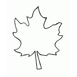 Coloriage Feuille d'érable très simple