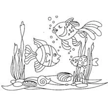 Fond Marin - Coloriages gratuits à imprimer
