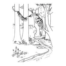 Coloriage Forêt avec un ruisseau sinueux