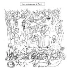 Coloriage Animaux de la forêt à retrouver parmi les arbres