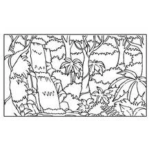 Coloriage Cascade dans la forêt tropicale