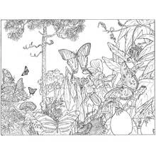 Coloriage Papillons voletant dans une scène de forêt dense
