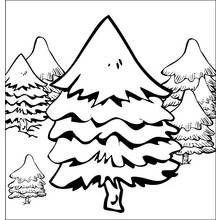Coloriage Forêt de sapins
