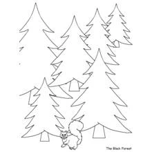 Coloriage Écureuil se promenant entre les sapins de la forêt