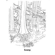 Coloriage Forêt marécageuse aux grands arbres