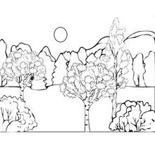 Coloriage Forêt avec arbres et soleil
