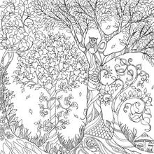 Coloriage Hibou perché dans une forêt enchantée