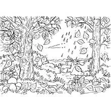 Coloriage Scène de forêt en automne avec pluie et oiseaux