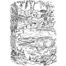 Coloriage Crocodile se reposant dans une rivière de la forêt