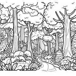 Coloriage Forêt avec un chemin sinueux entre les arbres