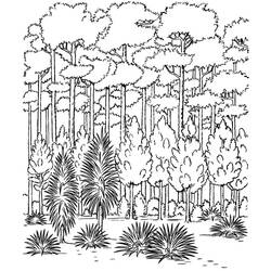 Coloriage Forêt dense avec grands arbres et fougères