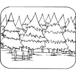 Coloriage Forêt de pins et clôture en bois