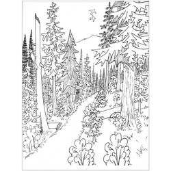 Coloriage Sentier au cœur d'une forêt majestueuse