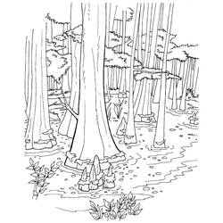 Coloriage Forêt marécageuse avec cyprès