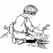 Coloriage Petit garçon plantant au jardin