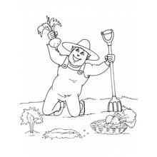Coloriage Jardinier tenant un légume fraîchement récolté