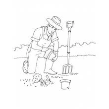 Coloriage Jardinier plantant un arbuste