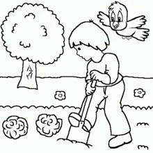 Coloriage Garçon qui bêche le jardin avec un oiseau qui vole