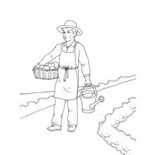 Coloriage Jardinier portant un panier de fruits et un arrosoir
