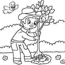 Coloriage Jardinier plantant un jeune arbre