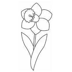 Jonquille - Coloriages gratuits à imprimer