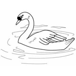 Coloriage Cygne nageant sur le lac