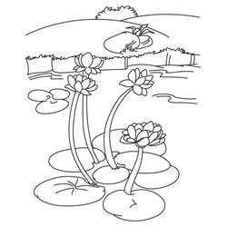 Coloriage Nénuphars flottant sur un lac