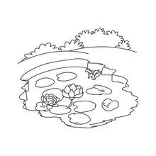 Coloriage Lac avec des nénuphars et des fleurs