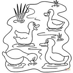 Coloriage Canards nageant sur un lac