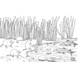 Coloriage Castors et poissons au bord du lac