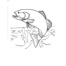 Coloriage Poisson bondissant hors du lac