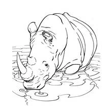 Coloriage Rhinocéros buvant dans le lac