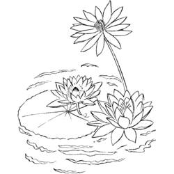 Coloriage Nénuphars flottant sur un lac