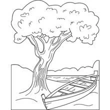 Coloriage Canoë posé au bord d'un lac sous un grand arbre